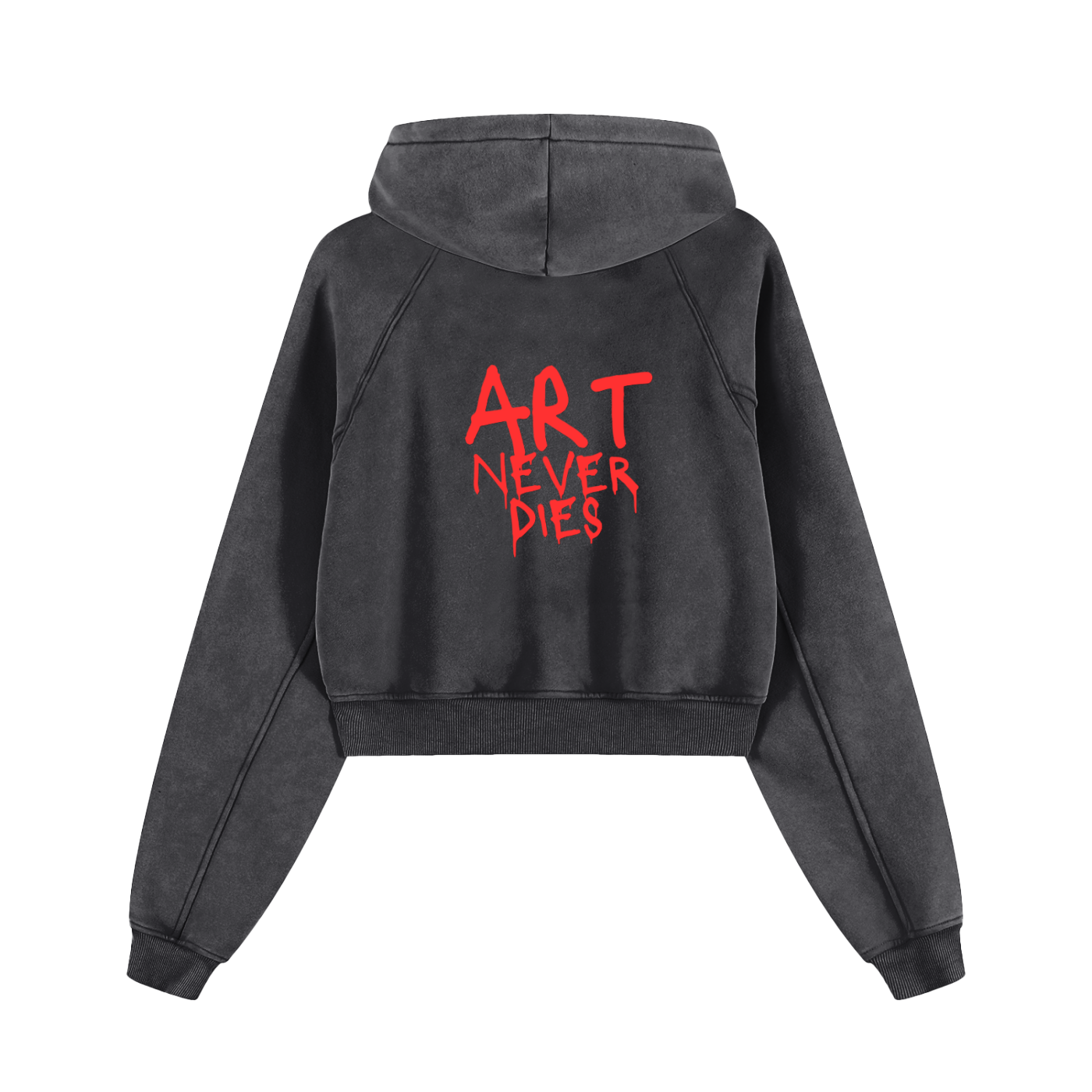 ART NEVER DIES Cropped Hoodie